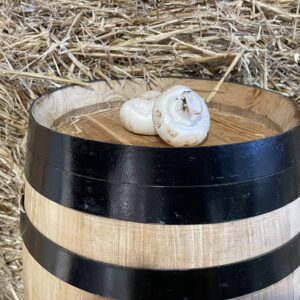 Ullastrell mushrooms