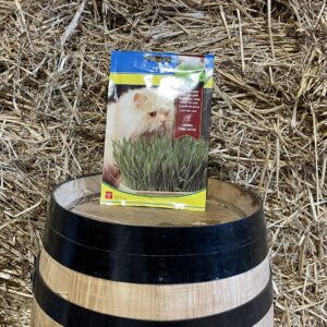 Grass seeds for cats Fitó