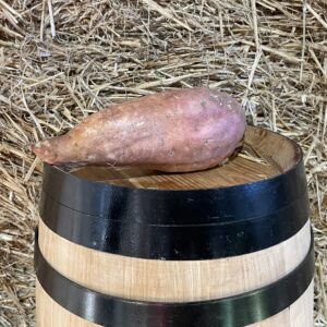 Sweet potato from Ullastrell