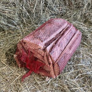 Bundle of holm oak firewood