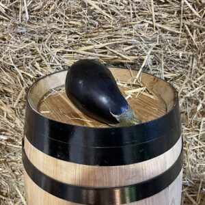Eggplant