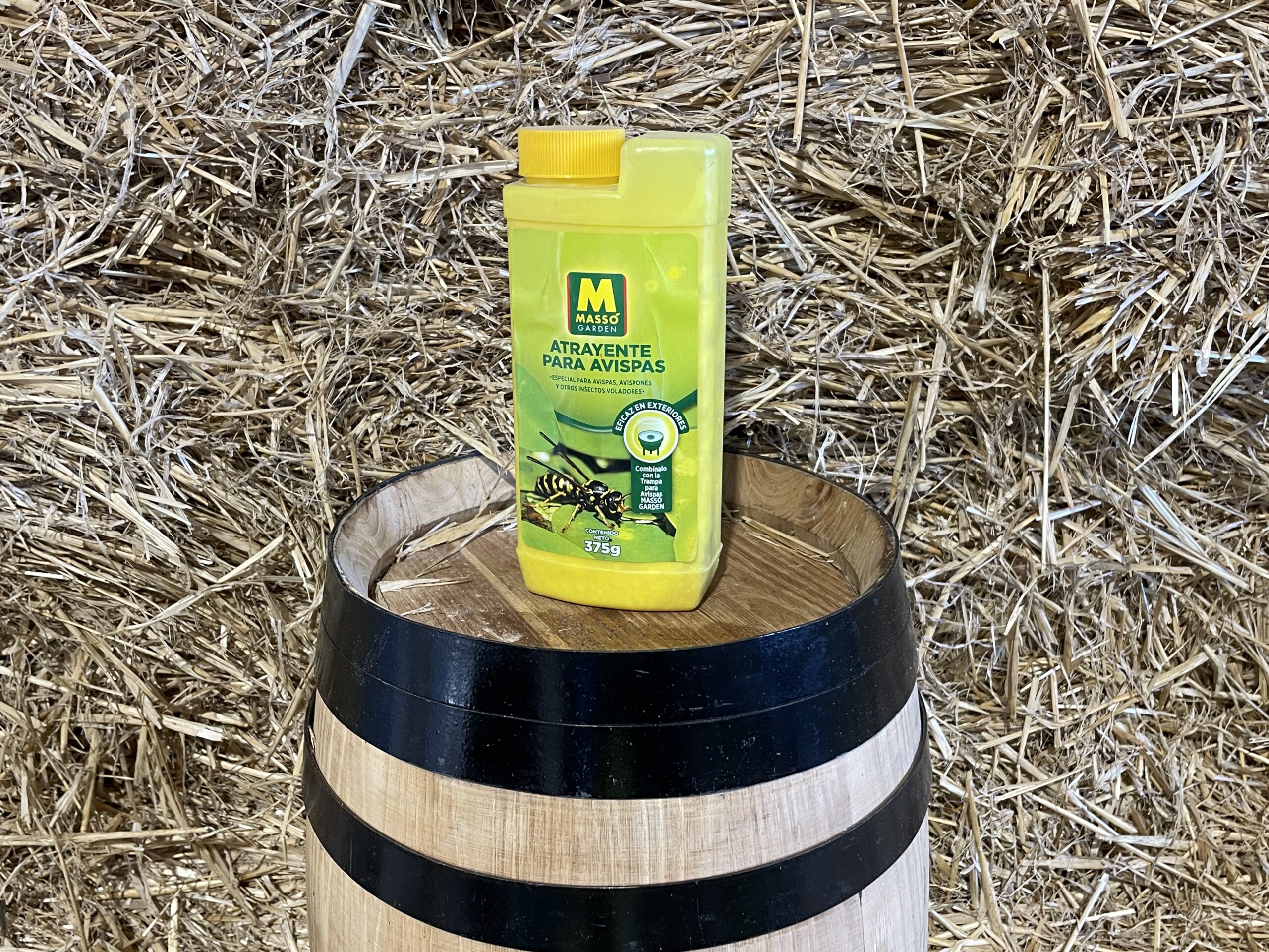 Attracting to Massó Bees