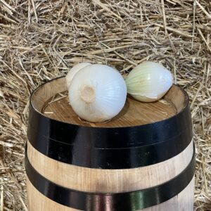 spring Onion Pack3