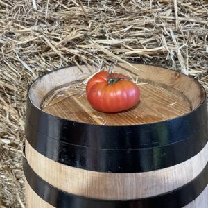 Montserrat tomato