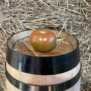 Ullastrell Green Tomato