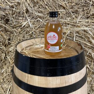 Vitae Kombucha fruits vermells 250ml